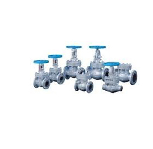 Audco Check Valve